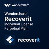 Wondershare Recoverit Individual License Perpetual Plan